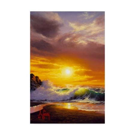 Anthony Casay 'Sunset Coast 8' Canvas Art,22x32